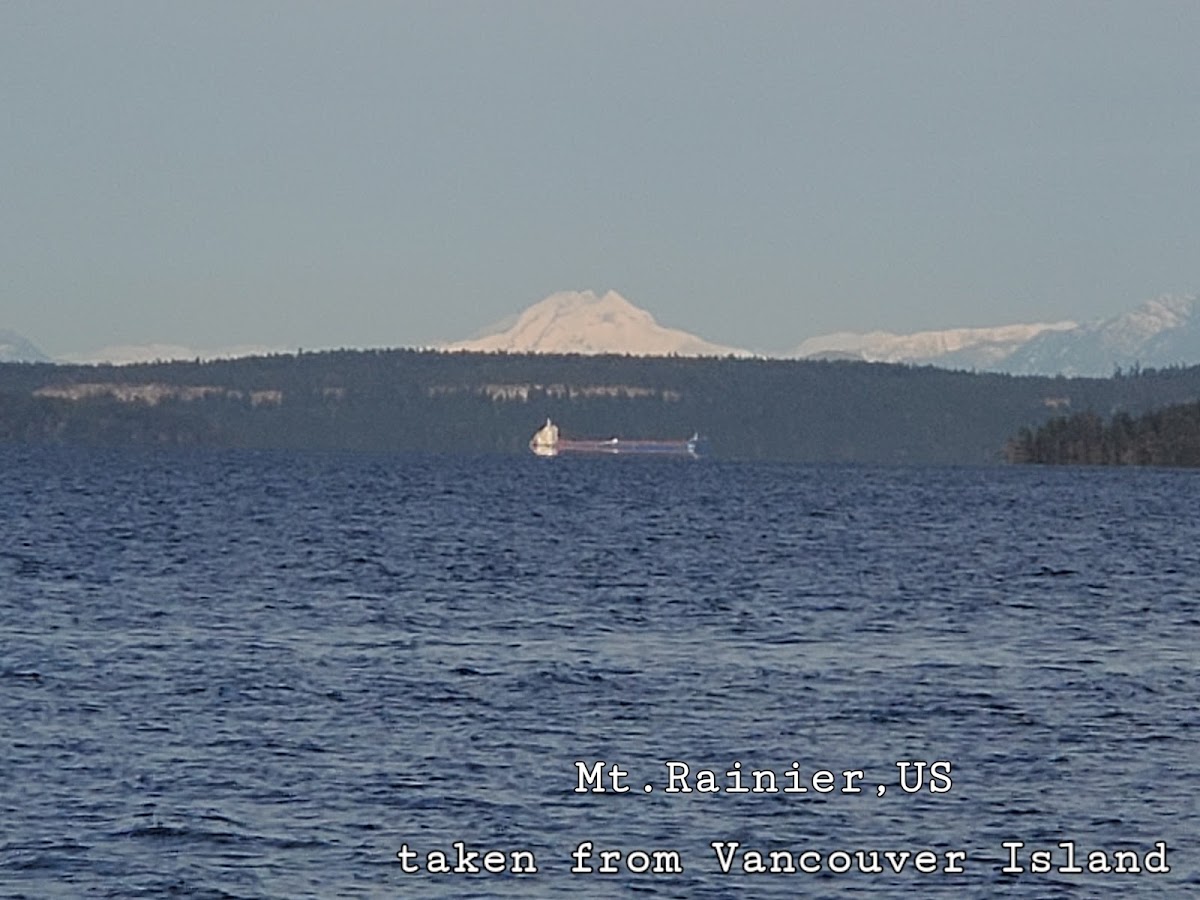 Lagoon Bridge Beach Access