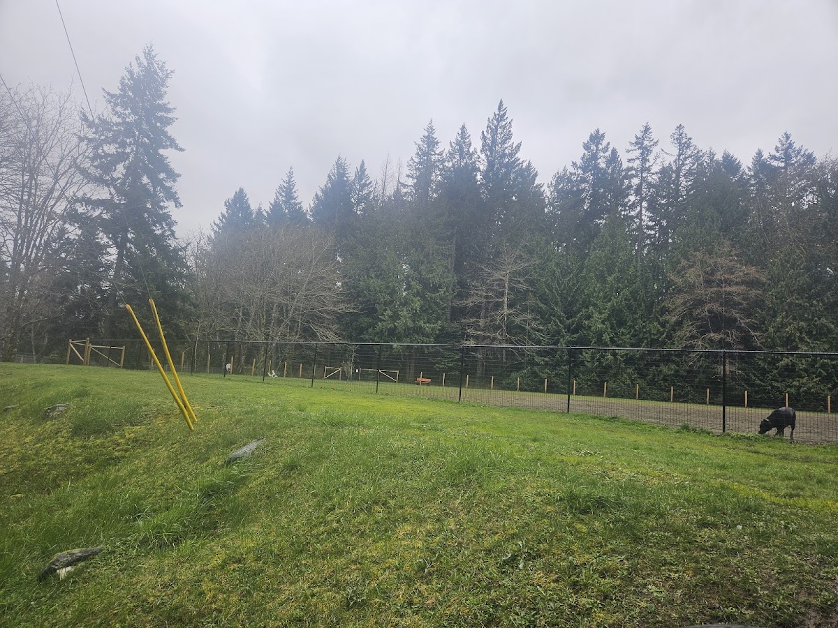 Maple Bay Dog Park