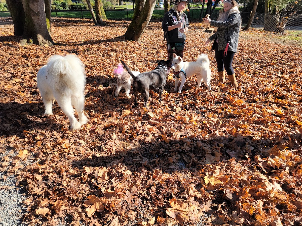 South Cowichan Off-Leash Dog Park